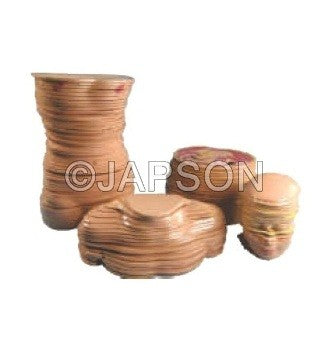 Human Torso, Horizontal Shears Human Torso, Horizontal Shears